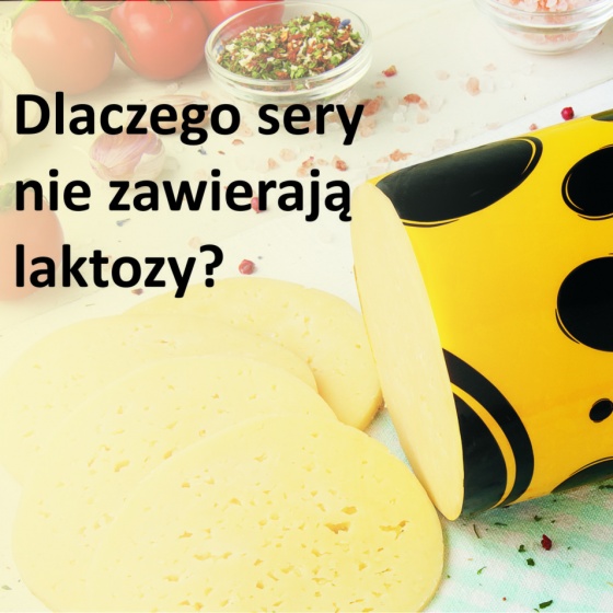 Sery żółte nie zawierają laktozy
